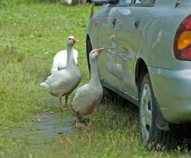 Daily picdump (116 pics)