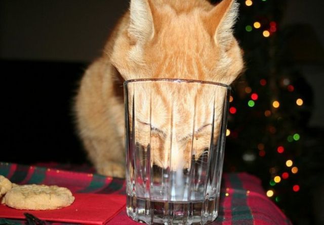 Daily picdump (116 pics)