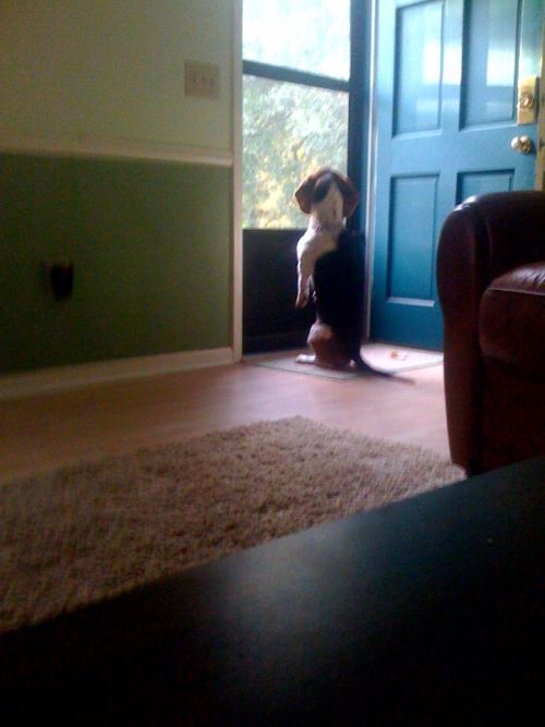 Daily picdump (116 pics)