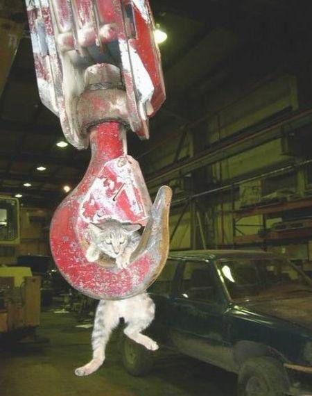 Daily picdump (153 pics)