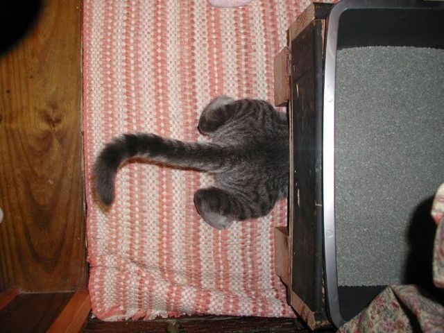 Daily picdump (153 pics)