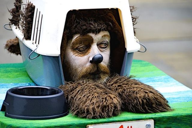 Daily picdump (153 pics)