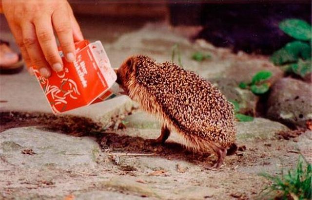 Daily picdump (153 pics)