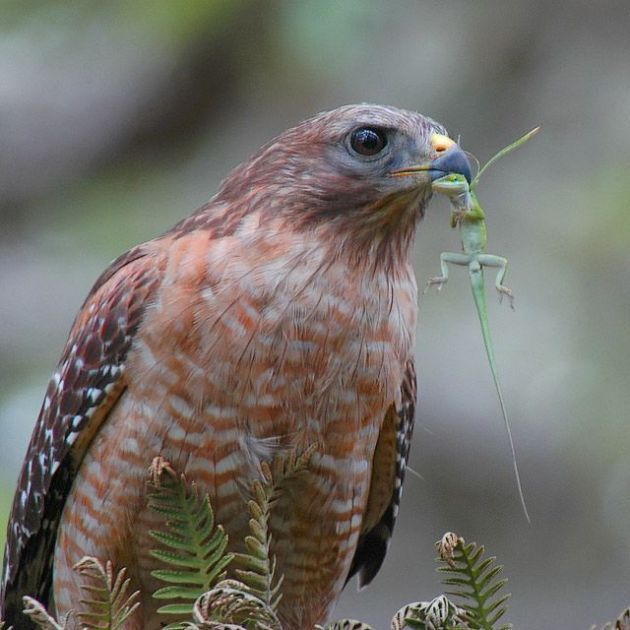 Daily picdump (153 pics)