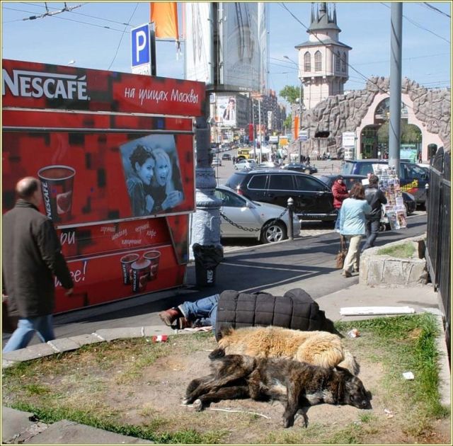 Daily picdump (153 pics)