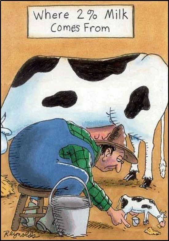 Daily picdump (153 pics)