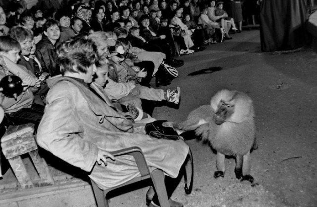 Daily picdump (153 pics)