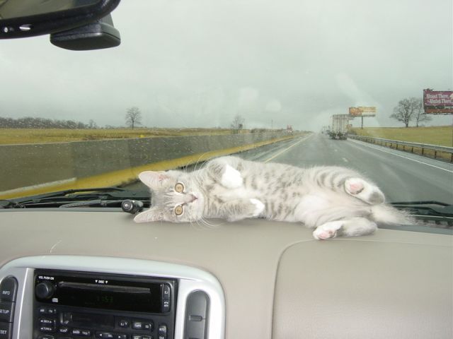 Daily picdump (153 pics)