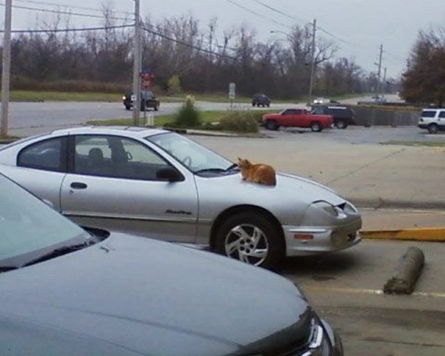 Daily picdump (153 pics)