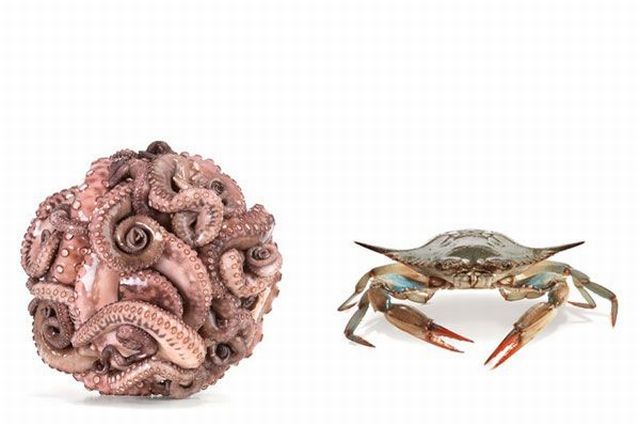 Daily picdump (153 pics)