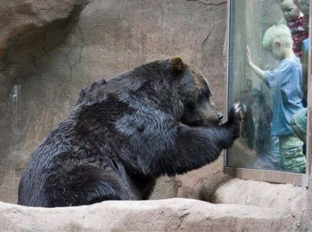 Daily picdump (153 pics)