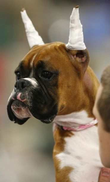 Daily picdump (153 pics)