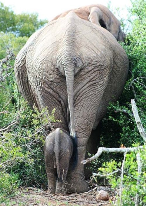 Daily picdump (153 pics)