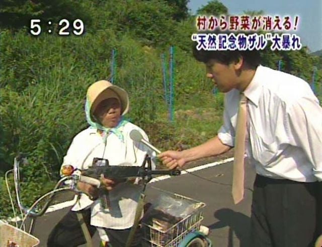 WTF Pictures Compilation. Part 2 (76 pics)