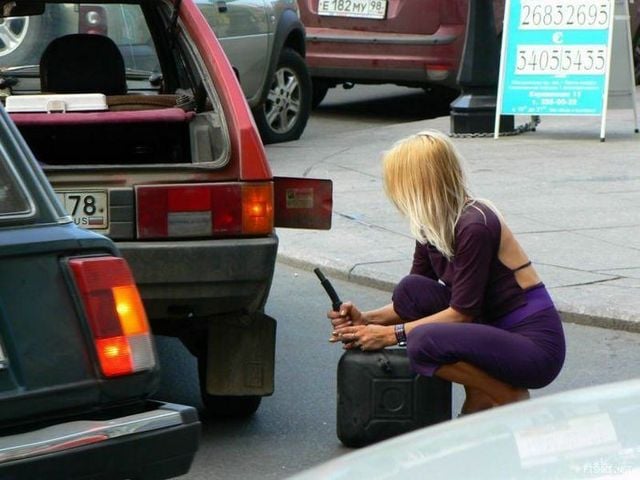 Blondes Will Be blondes! )) (59 pics)