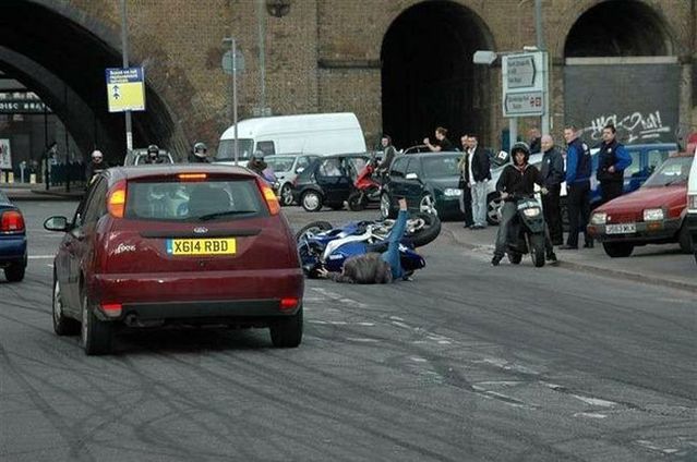 Blondes Will Be blondes! )) (59 pics)