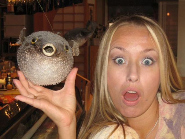 Blondes Will Be blondes! )) (59 pics)