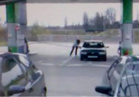 Blondes Will Be blondes! )) (59 pics)