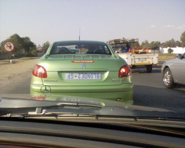 Blondes Will Be blondes! )) (59 pics)