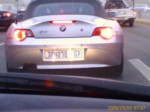 Blondes Will Be blondes! )) (59 pics)