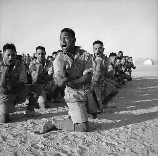 Daily picdump (154 pics)