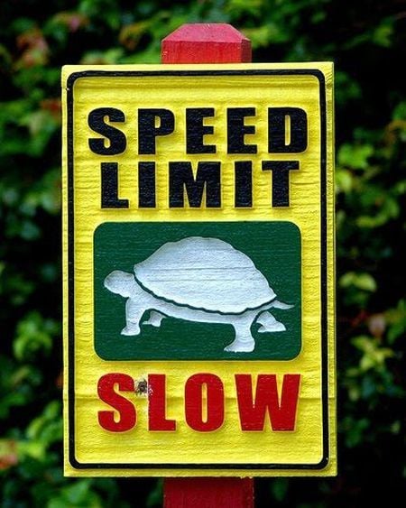 Daily picdump (154 pics)