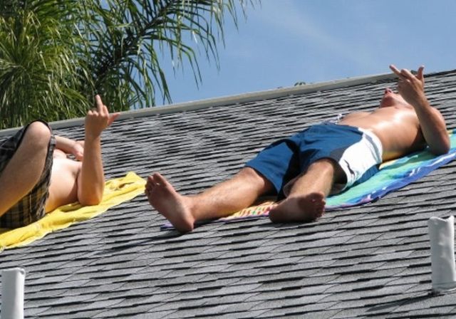 F*** You!! (62 pics)