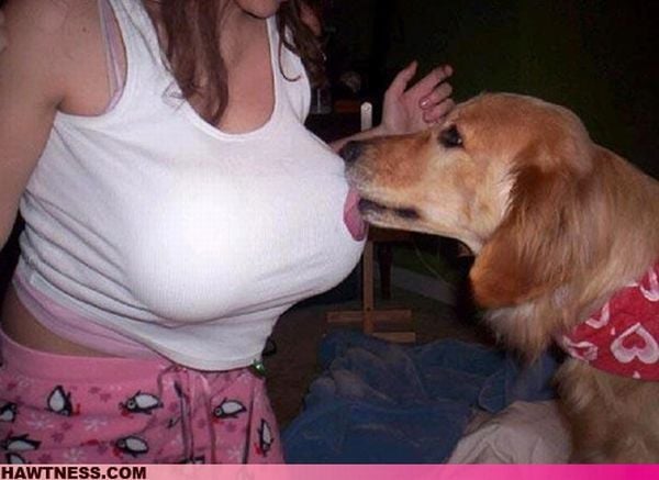 The Women of WTF. Part 2 (80 pics)