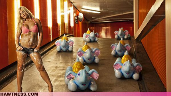 The Women of WTF. Part 2 (80 pics)