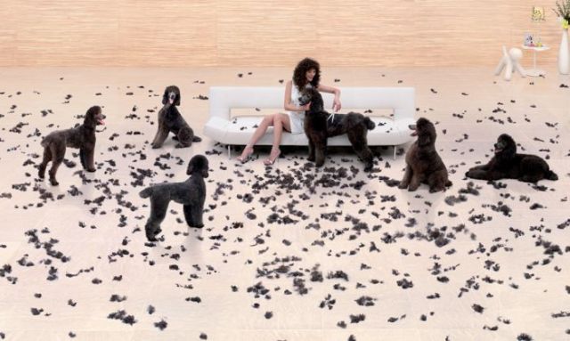 Daily picdump (127 pics)