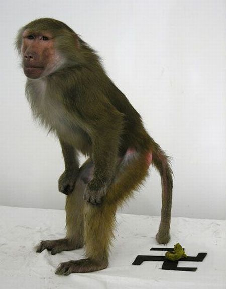 Daily picdump (127 pics)