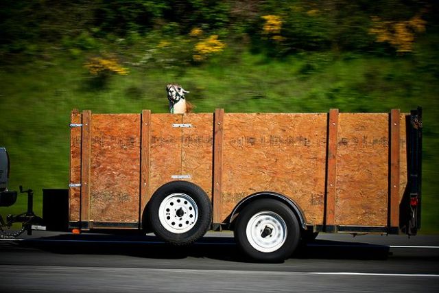 Daily picdump (127 pics)