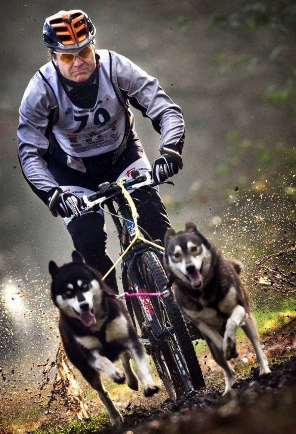 Daily picdump (127 pics)