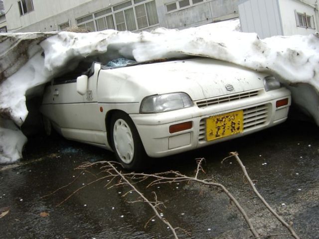 Daily picdump (127 pics)