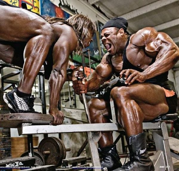 Bodybuilders (90 pics) Bodybuilders (90 pics)