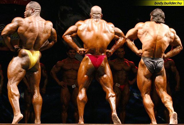 Bodybuilders (90 pics)