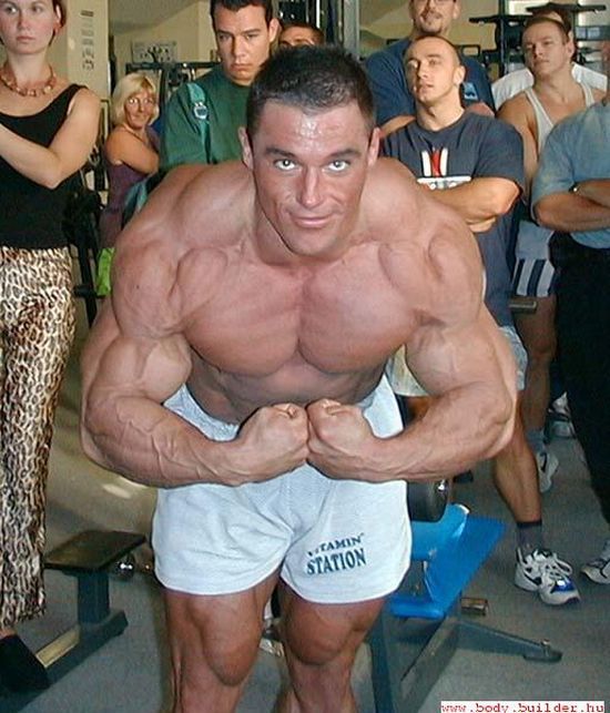 Bodybuilders (90 pics)