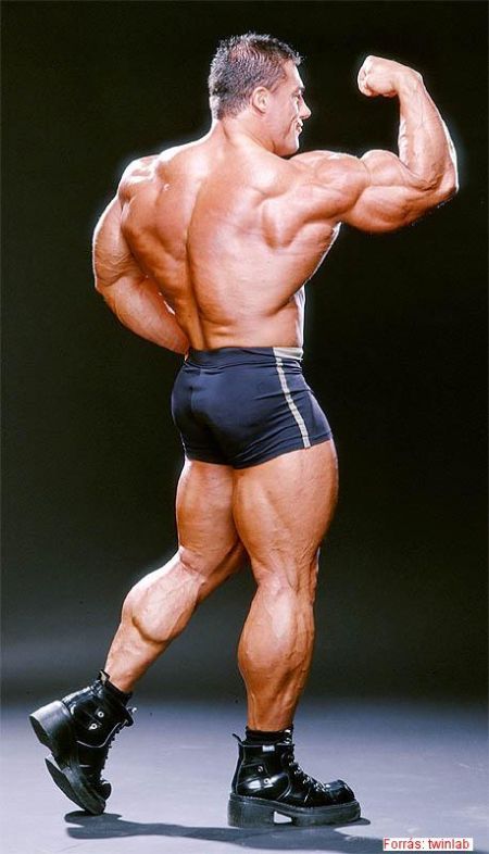 Bodybuilders (90 pics)