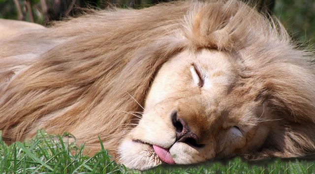 Sex Is Great! (3 pics)