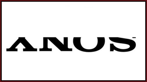 Curiosities and bonus pictures