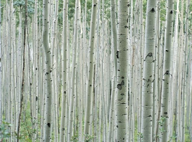 Beautiful Patterns in Nature from National Geographic. Part 2 (78 pics)