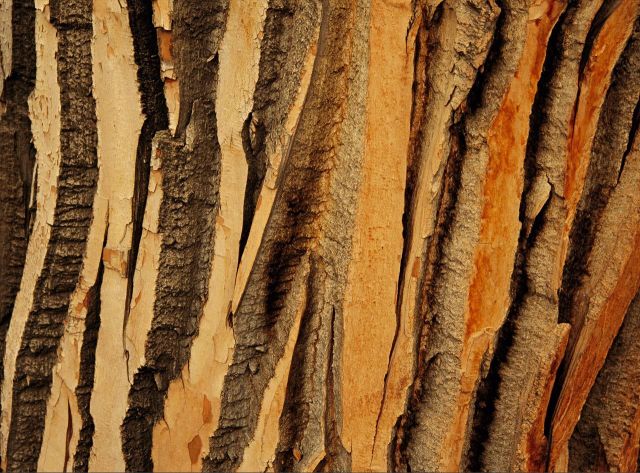 Beautiful Patterns in Nature from National Geographic. Part 2 (78 pics)