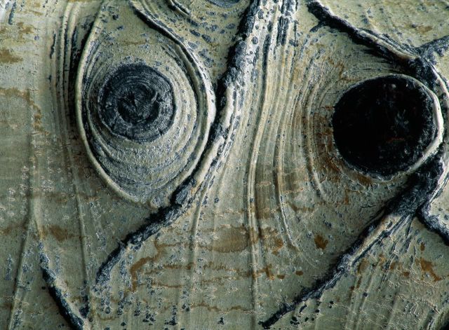 Beautiful Patterns in Nature from National Geographic. Part 2 (78 pics)