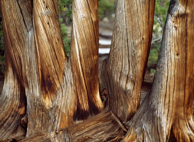 Beautiful Patterns in Nature from National Geographic. Part 2 (78 pics)