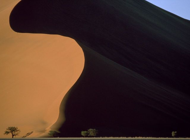 Beautiful Patterns in Nature from National Geographic. Part 2 (78 pics)