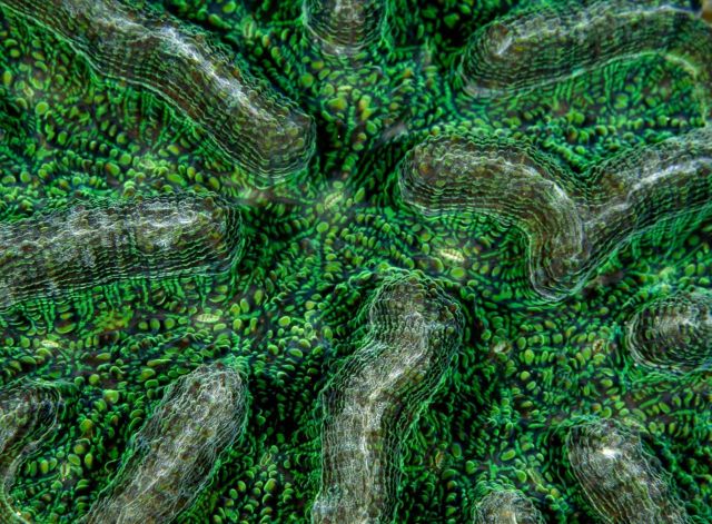 Beautiful Patterns in Nature from National Geographic. Part 2 (78 pics)