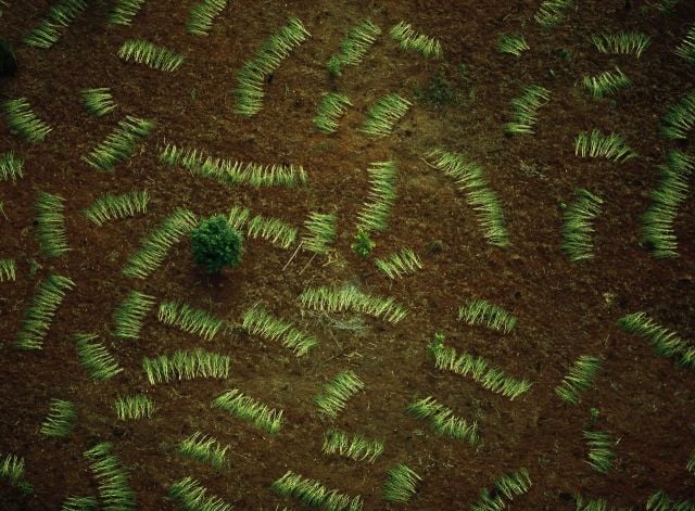 Beautiful Patterns in Nature from National Geographic. Part 2 (78 pics)