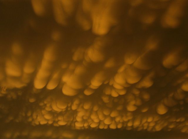 Beautiful Patterns in Nature from National Geographic. Part 2 (78 pics)