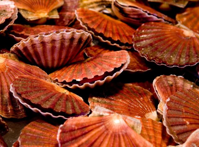 Beautiful Patterns in Nature from National Geographic. Part 2 (78 pics)