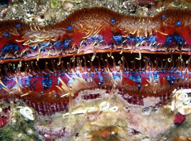 Beautiful Patterns in Nature from National Geographic. Part 2 (78 pics)